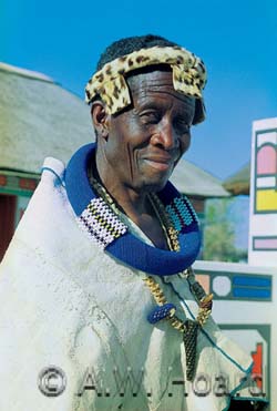 Portrait of Mr. Ndimande, 2001